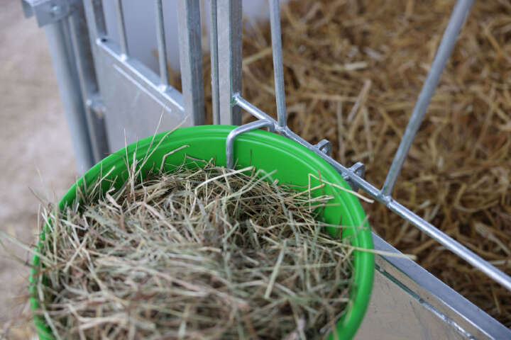 KERBL Kälberbox Premium mit schwenkbarem Boden